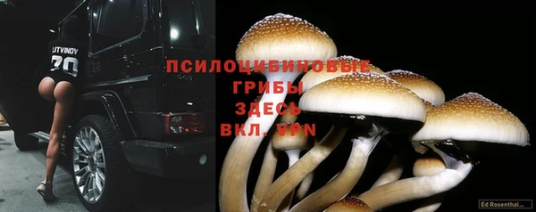 spice Киреевск