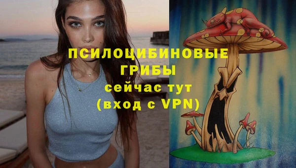 твердый Каменка