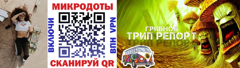 хочу   Кувандык  Псилоцибиновые грибы Psilocybe 