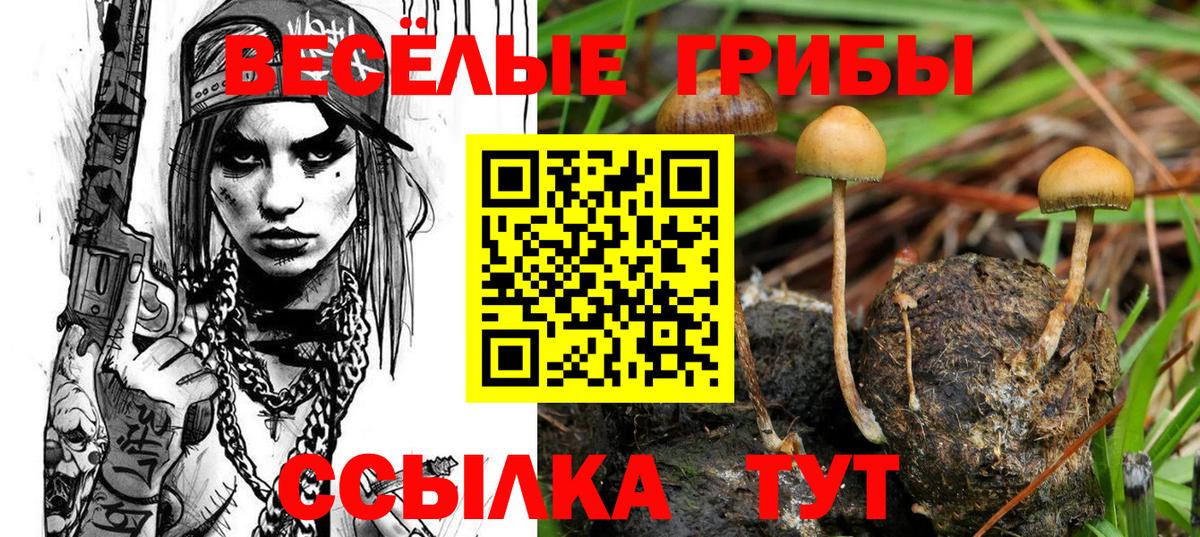 Псилоцибиновые грибы прущие грибы Кувандык