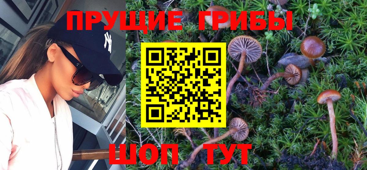 Кувандык  Галлюциногенные грибы прущие грибы  Вход с VPN 