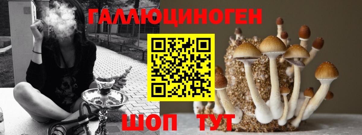 Мефедрон  Вход с VPN  Марихуана  Гашиш  Бошки Шишки  Гашиш  Кувандык  COCAIN  Амфетамин   Меф   КОКАИН 